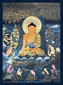 国产佛陀视频,穿越千年，探寻佛陀智慧之光