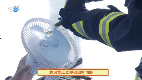 国产电风扇使用视频,清凉一夏，畅享舒适生活