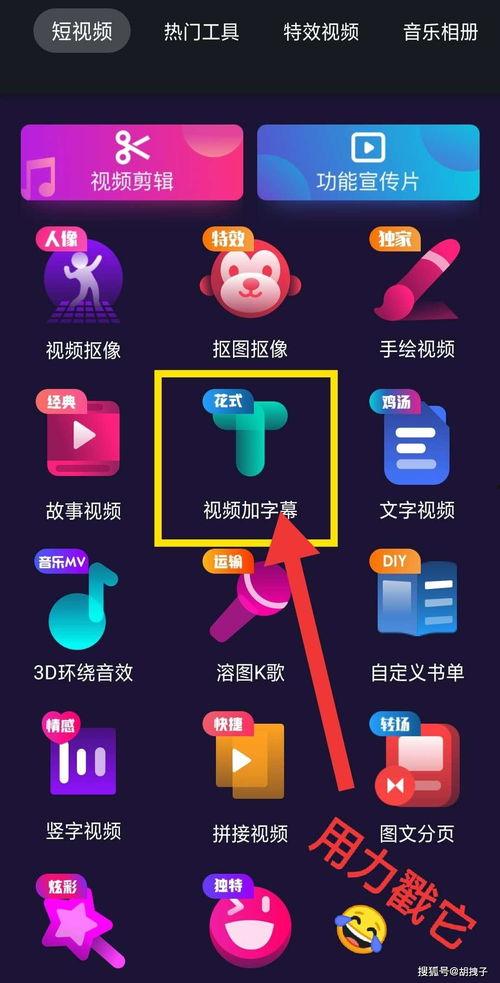 录音视频国产,录音视频内容精炼概述