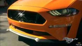 国产野马真有人买吗视频