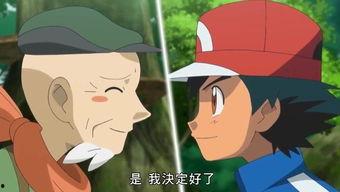 国产动画片精彩视频在线,精彩视频在线大放异彩