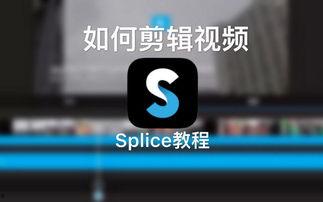 国产飞机抖音视频下载软件,国产飞机视频一键下载，畅享航空盛宴