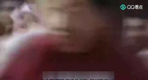 国产搞基视频video,揭秘网络热点的背后故事