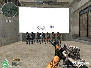 疯抢国产箱包视频大全,视频大全见证国货崛起魅力