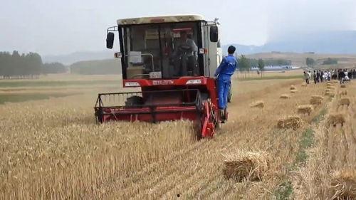 国产秸秆收割机生产视频,高效环保，助力农业现代化