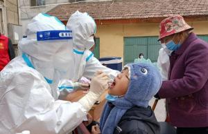 茄子在线视频国产女,探寻国产女生魅力风采