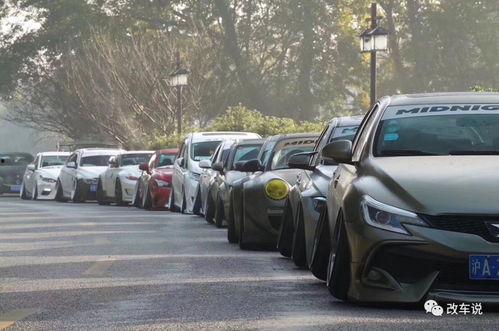 国产热门车街拍合集视频,街拍合集展现热门车型魅力瞬间