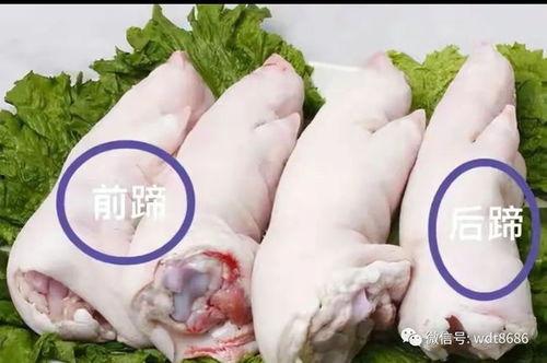 国产猪蹄水分大不大呢视频,大不大？营养解析