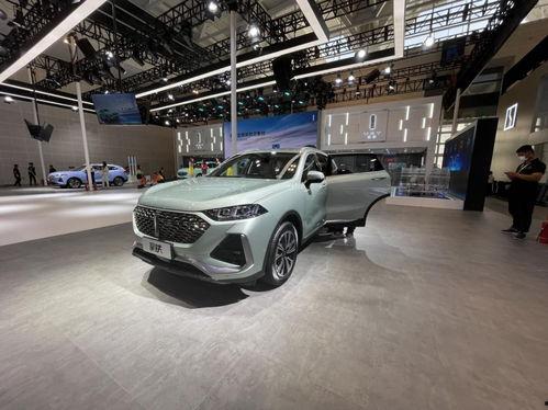 车展国产车火爆视频,民族品牌闪耀全场  第3张