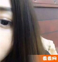 国产野站直播视频,揭秘自然生态的实时画卷  第3张