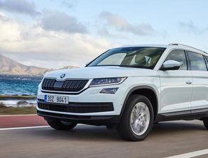 国产越野车在国外震撼视频  第3张