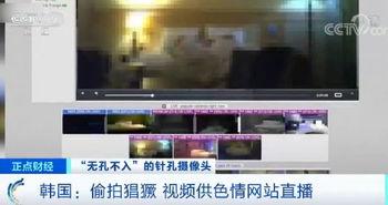 免费国产偷拍g在线视频