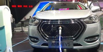 小视频国产汽车  第2张