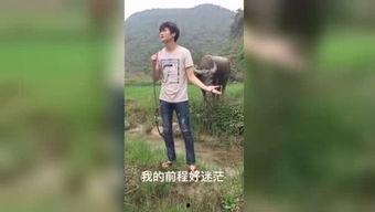 国产裸拍福利视频下载,暗流涌动的网络暗角