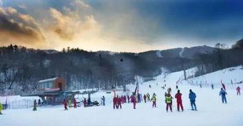 国产滑雪场视频大全集